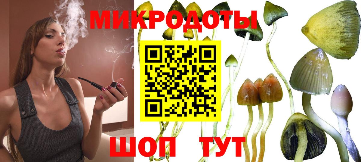 Псилоцибиновые грибы мицелий  Вход с VPN  цены   Галлюциногенные грибы ЛСД  Изобильный 
