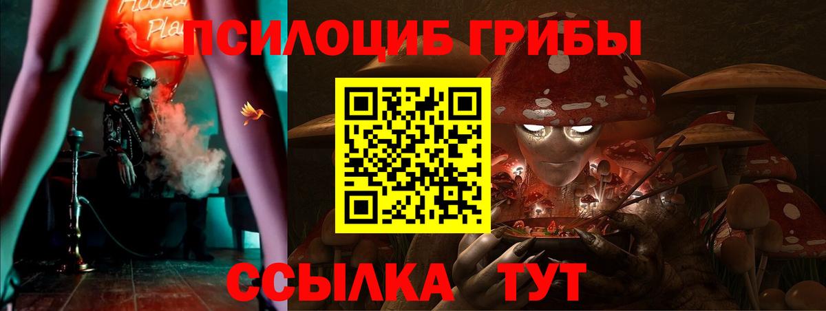 Псилоцибиновые грибы Cubensis Изобильный